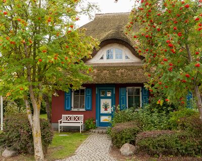 Ferienwohnung Villa Löwe